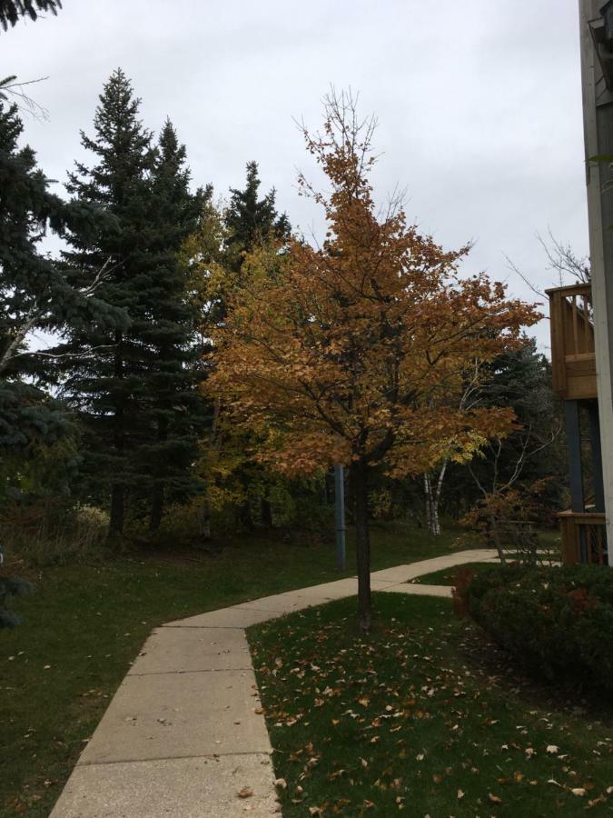 Blue Mountain Getaway At North Creek Resort King Bed Blue Mountains Exterior foto